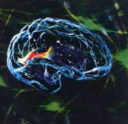 Pierrot (JAP) : Nounai Morphine